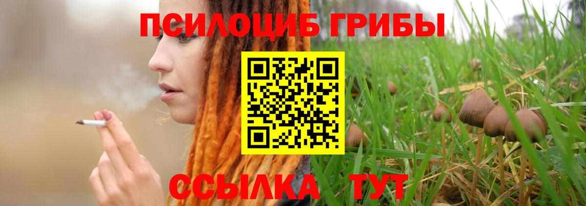Галлюциногенные грибы мицелий  Псилоцибиновые грибы ЛСД  Советский  Вход с VPN 